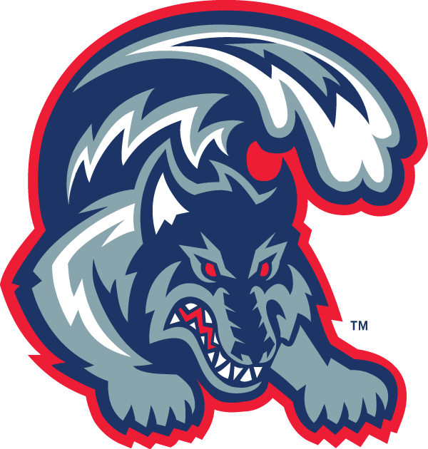 Stony Brook Seawolves 1998-2007 Alternate Logo DIY iron on transfer (heat transfer)